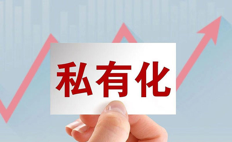有没有支持私有化部署、数据不上传云端的成人玩具APP控制方案？